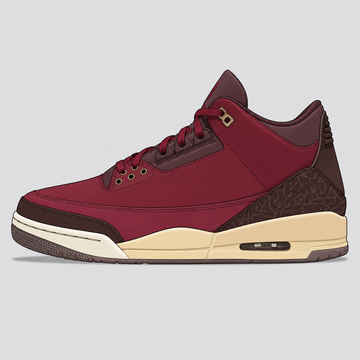 bin-23 sneaker illustration