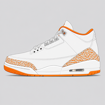orange-citrus sneaker illustration